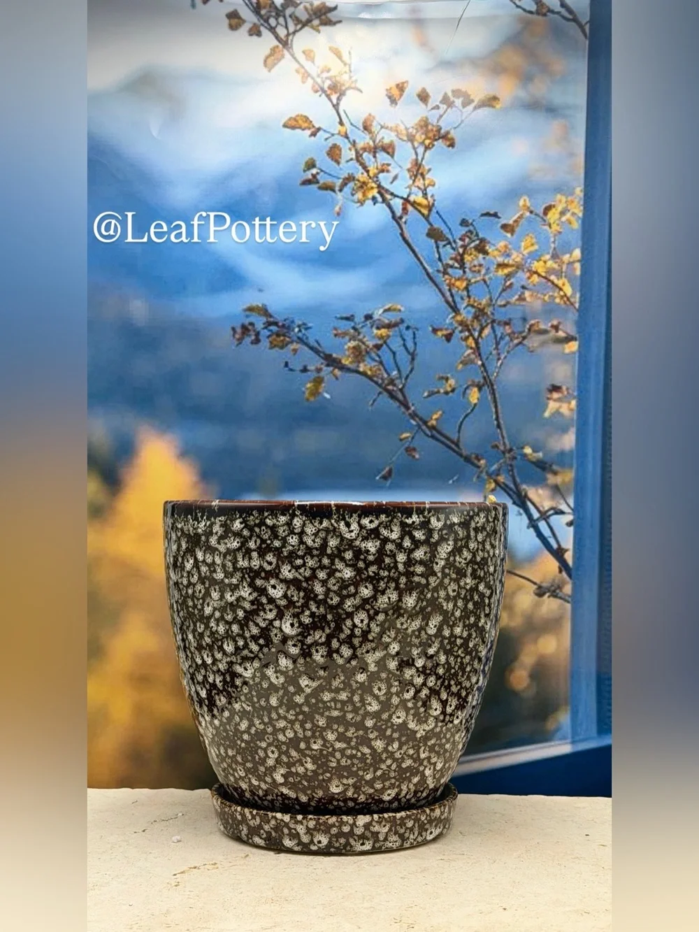 8 Inch Ceramic Planter with Attached Saucer & Drainage Hole | Speckled Brown Pot